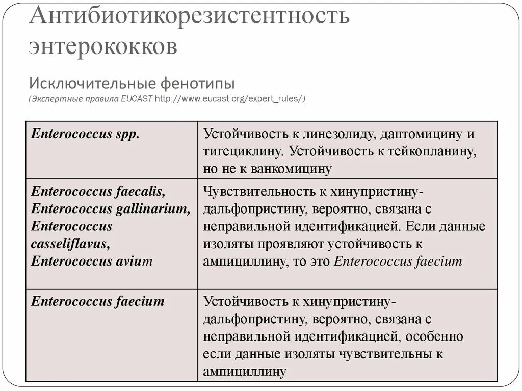 Энтерококк фекалис лечение. Энтерококк фекалис лечение