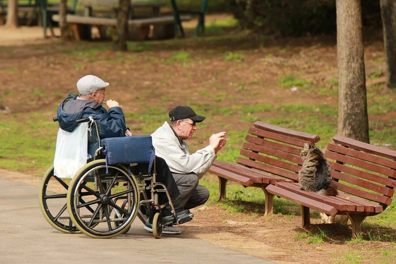 Каким то дряхлым инвалидом. Инвалид в коляске в парке. Пенсионеры инвалидная коляска. Старик в коляске. Парк для пенсионеров.