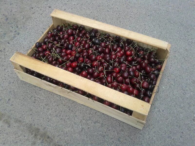Черешня в лотке. Черешня в деревянном ящике. Черешня ящик сколько кг. Черешня в пакете. Черешня в ящиках.