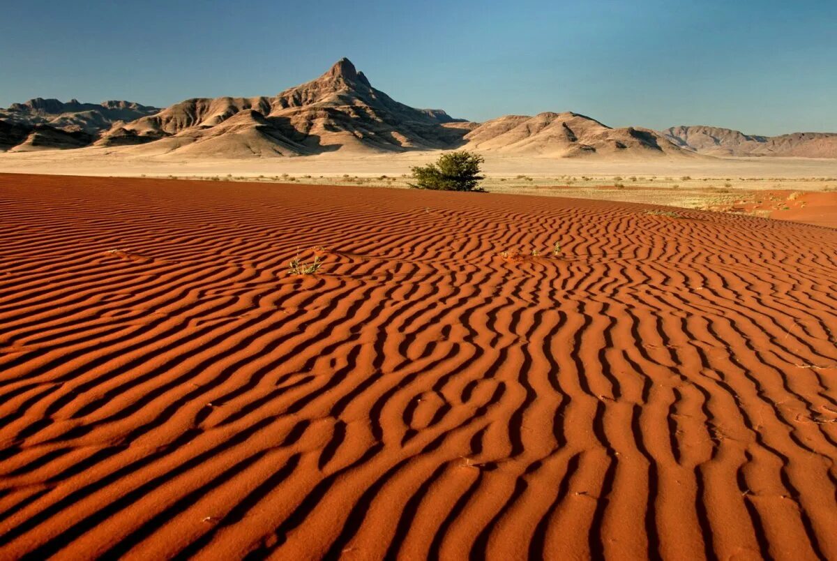 Самая крупная пустыня на земле. Пустыня Калахари ЮАР. Намибия Калахари. Пустыни Африки Намиб Калахари. Пустыни: сахара, Намиб, Калахари.