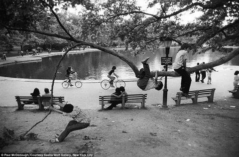 Vintage park