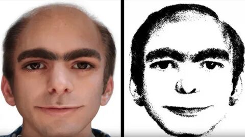 Мог бы лицо