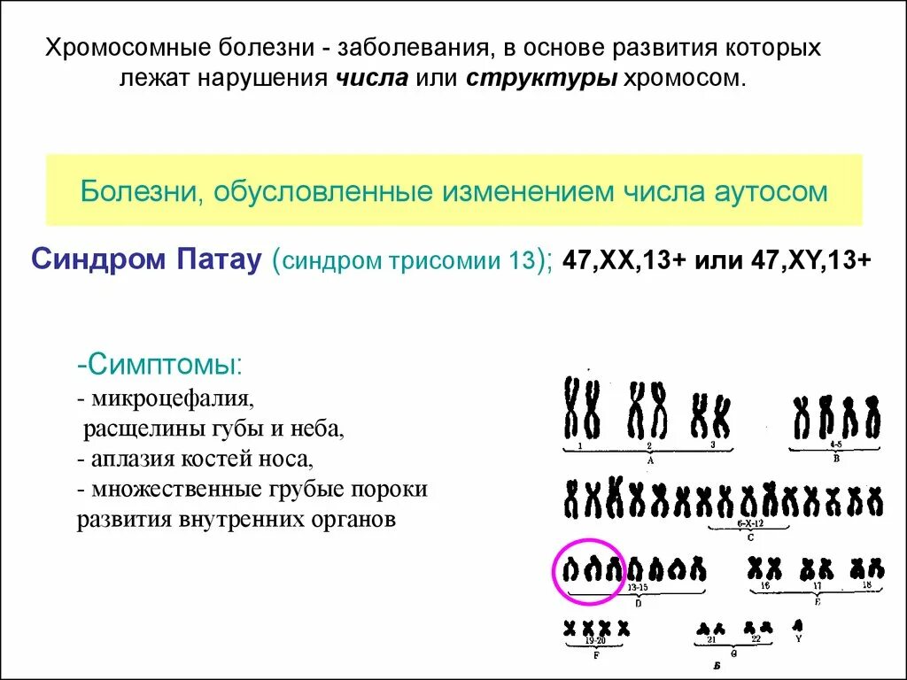 С изменением структуры хромосом связаны