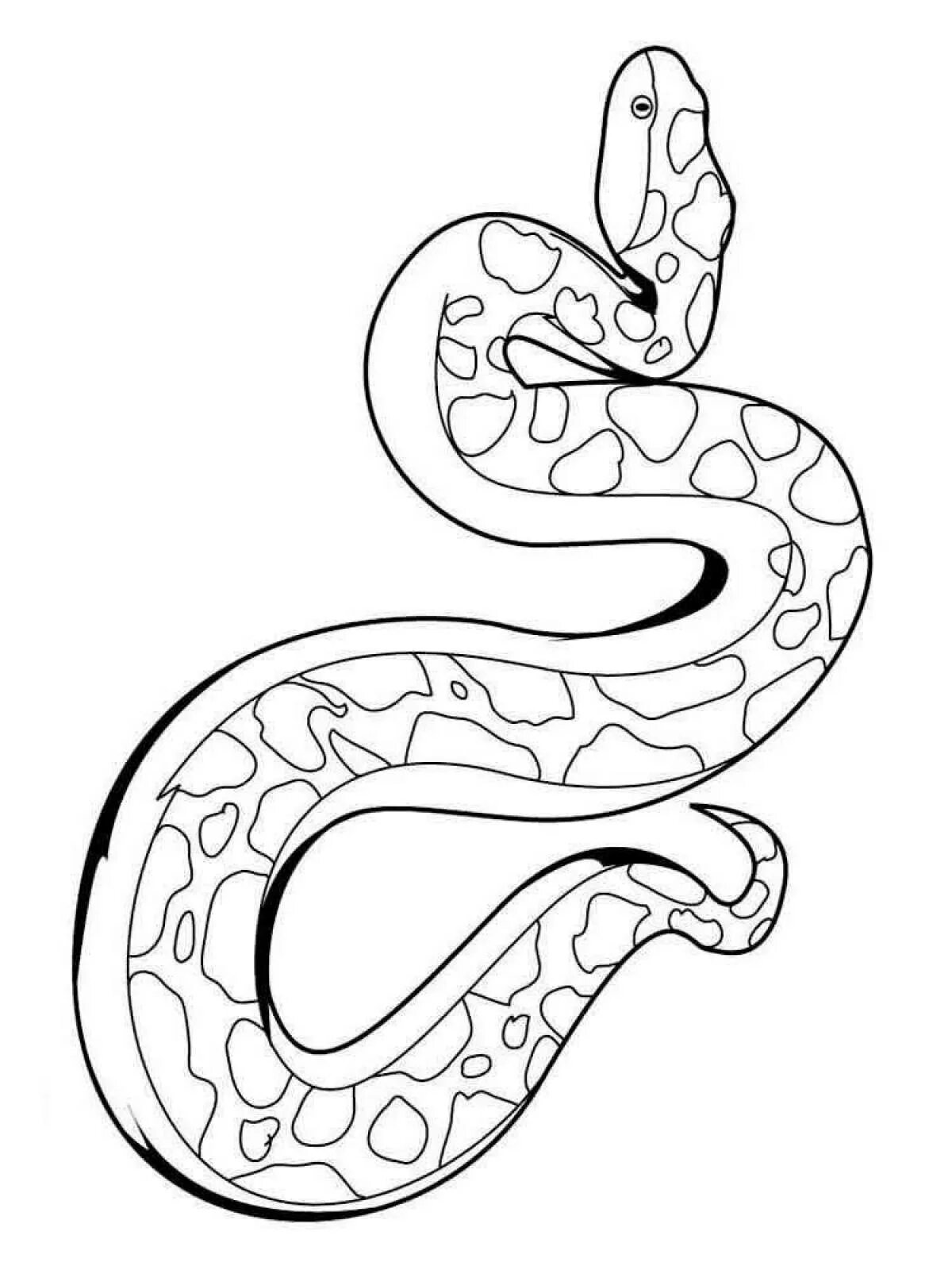 Раскраски змей распечатать. Королевский питон раскраска. Змея раскраска. Змея раскраска для детей. Раскраска змеи для детей.
