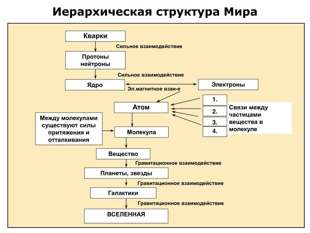 Последовательность уровень 1. Иерархическая структура. Структурная иерархия микромира. Структура иерархии.