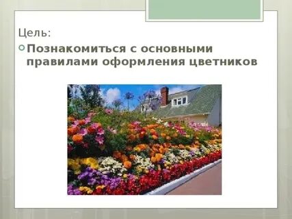 Цветник проверочное