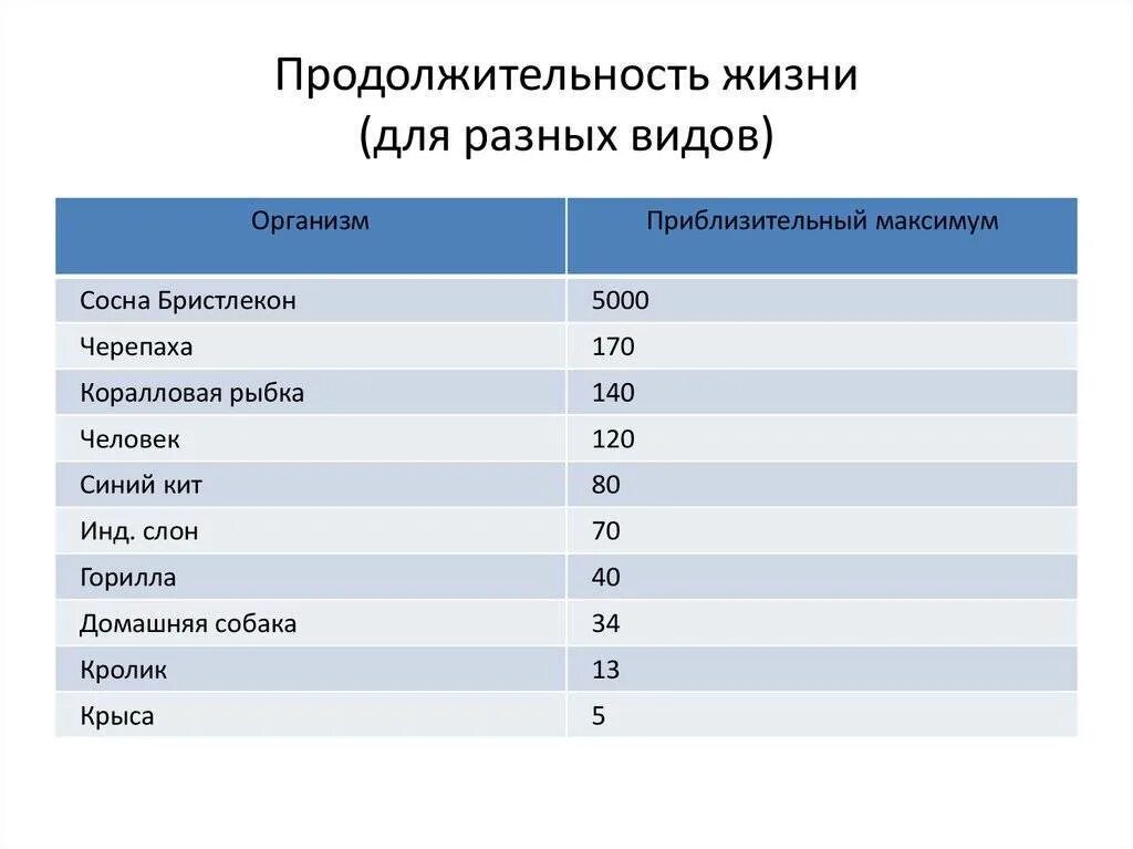 Сколько живут вариантов. Продолжительность жизни животных таблица. Продолжительность жизни разных животных. Средняя Продолжительность жизни животных. Продолжительность жизни животных 1 класс таблица.