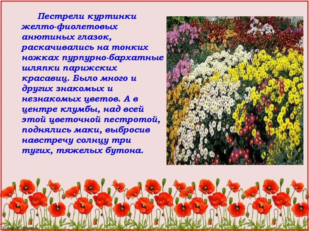 Он приятно для глаз пестреет своими садами. Пестрели куртинки желто-фиолетовых анютиных глазок. Носов живое пламя клумба. Пестрящая Цветущая клумба. Пестреют цветы.