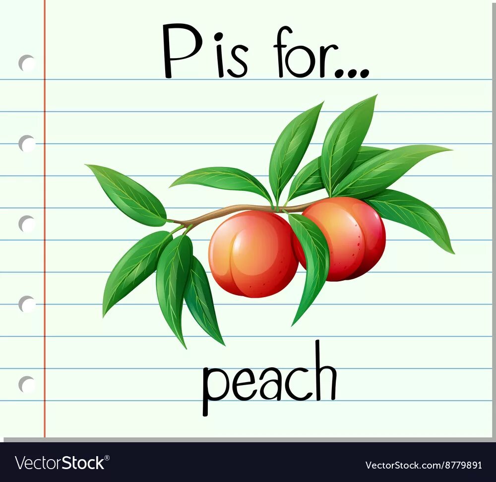 Peach for bitch записи. Letter p flashcards. персик на английском. peach на английском картинка для детей. p is for.