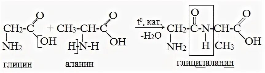 Структурная формула глицилаланина. Глицилаланин структурная формула. Глицин в глицилаланин. Реакция гидролиза глицилаланина.