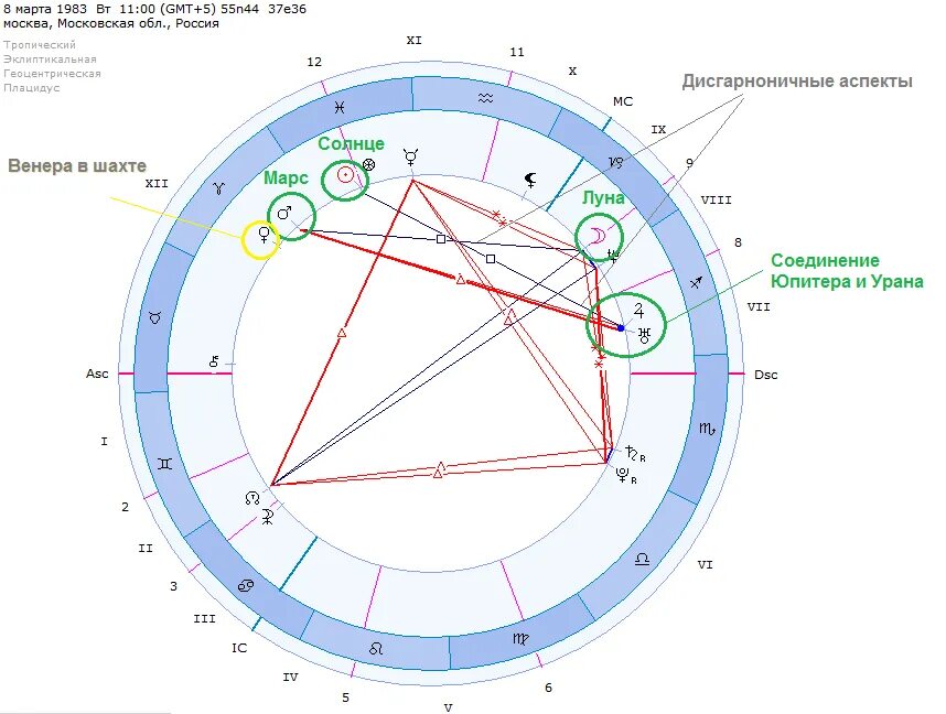 дома в знаках в натальной карте. астрология дома в натальной карте. натальная карта с домами. как узнать в каком доме планета. астрология дома в натальной карте.