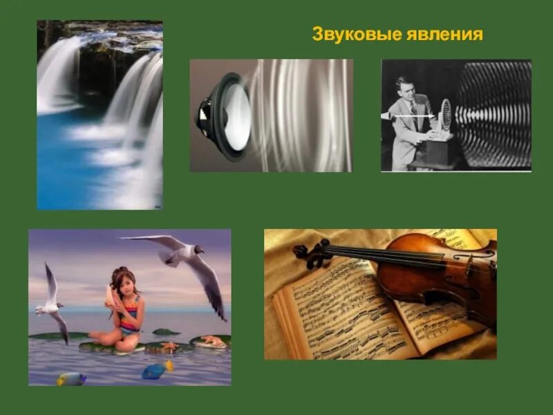 Два примера звукового явления Речевые звуковые явления: найдено 76 картинок