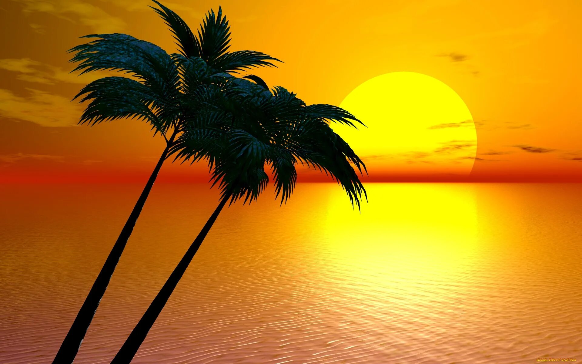 Palms on love. Пальмы солнце. Море пальмы. Фон море пальмы. Море пальмы закат.