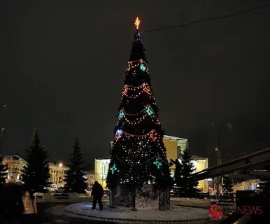 Новогодние елки ярославль для детей
