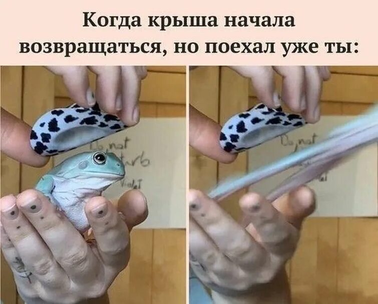 Когда начинают возвращаться бывшие