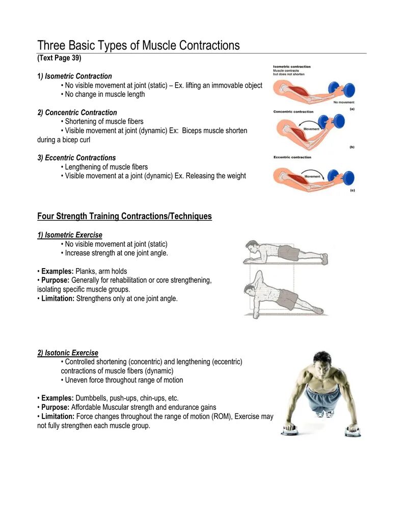 Basic exercises. Types of muscular contraction. types of muscle groups. muscle isometric. isotonic and isometric exercises.