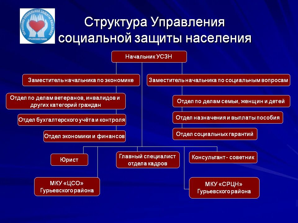 Учреждения социальной защиты задачи. Структуру органов управления социальной защитой населения в РФ.. Организационная структура управления социальной защиты населения РФ. Структура отделов управления социальной защиты населения. Схема структуры органов СЗН.