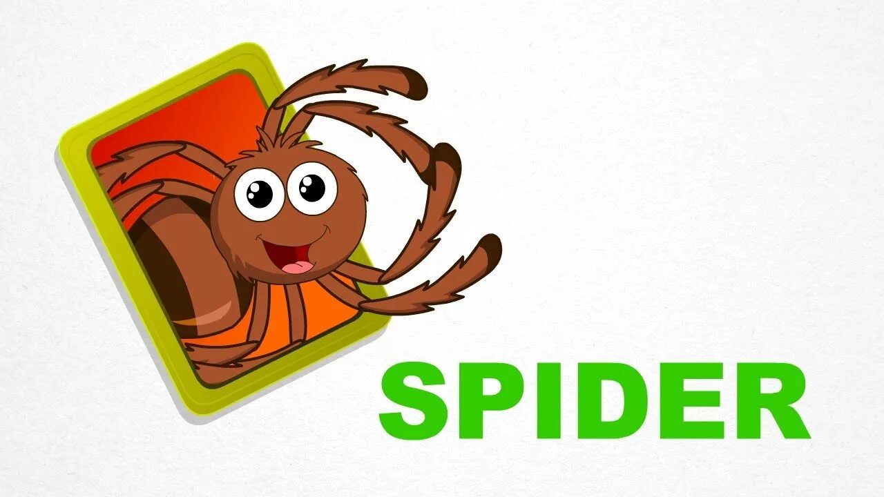 Как по английски будет паук. Spider карточка на английском. Spider Flashcard for Kids. Паук для детей. Паучок на английском.