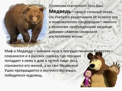 Легенда о медведе