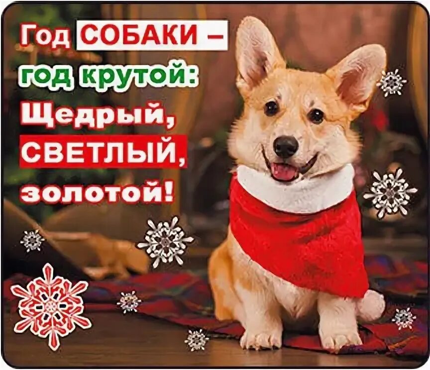 Год земляной собаки. Календарь 2018 год собаки. Поздравление собаки с новым годом. Говорят год собаки будет. Стих про щенка на новый год.