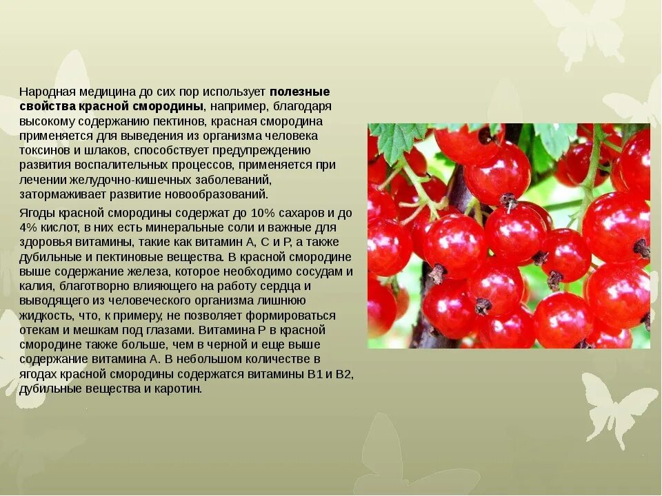 Можно есть красную. Чем полезна красная смородина. Поле красной смородины. Красная смородина польза. Красная смординапольза.