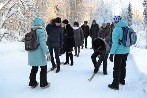Прогноз погоды выльгорт