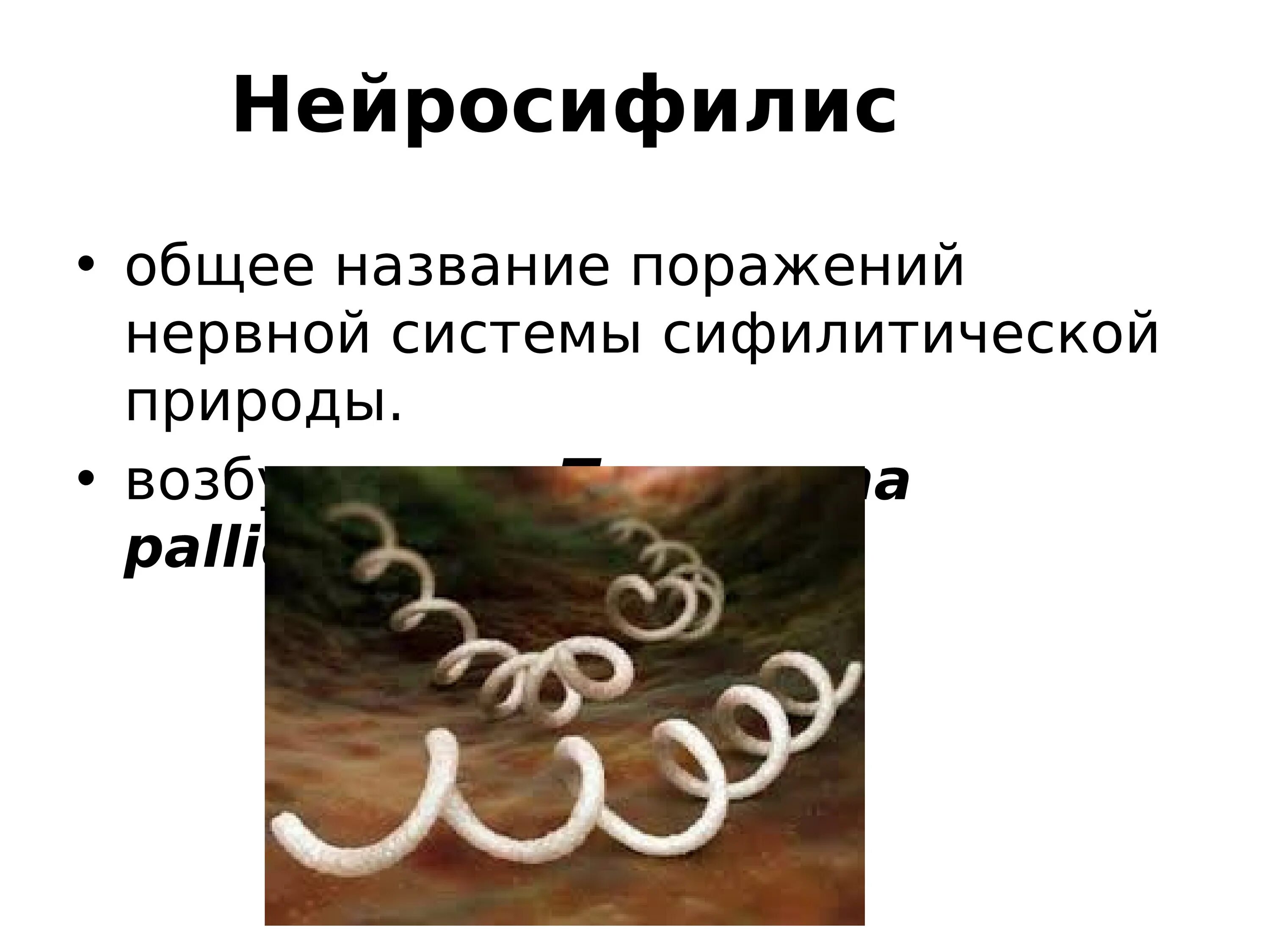 Нейросифилис это простыми словами. Сифилис нервной системы. Нейросифилис возбудитель. Клиника нейросифилиса.