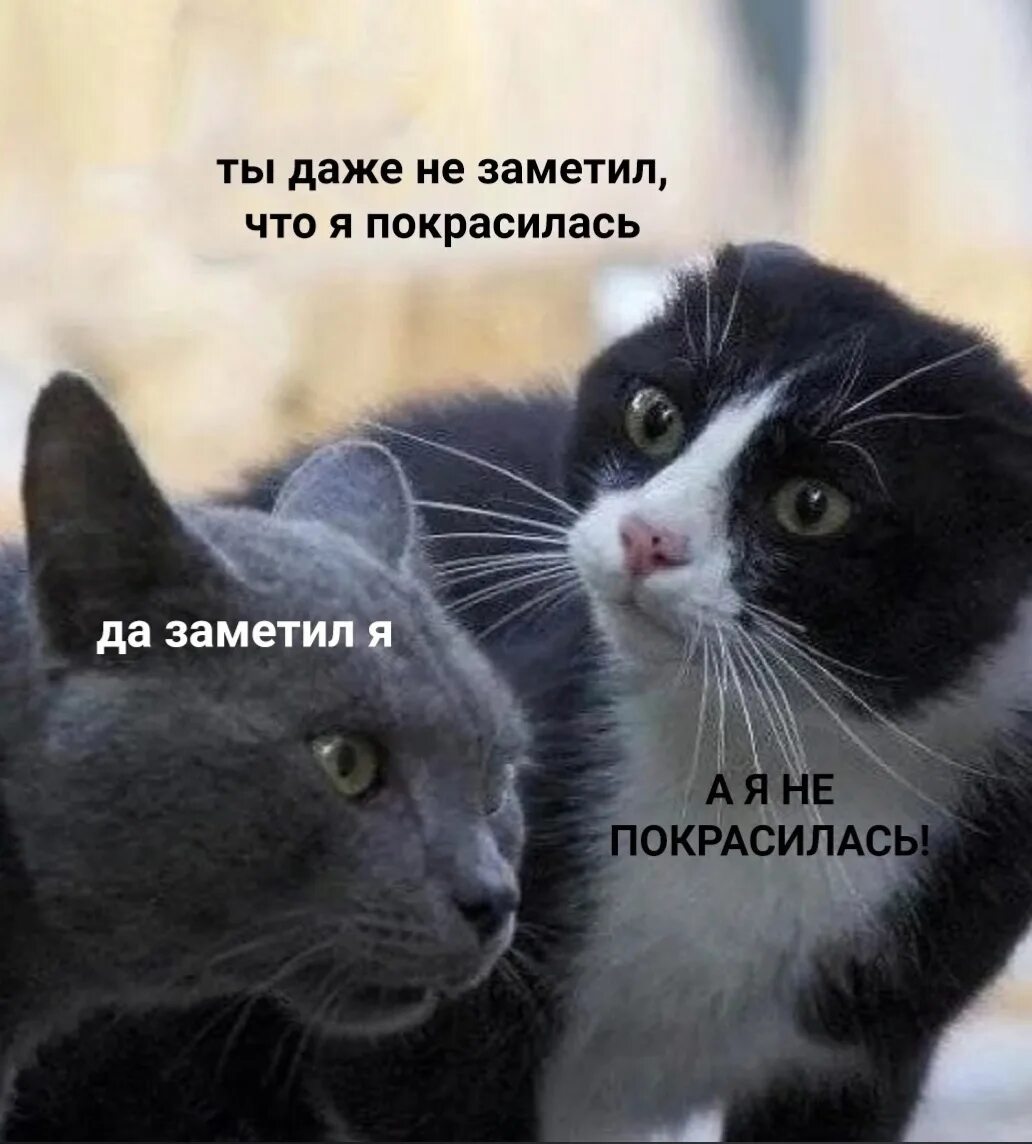 Заметить что в этом случае