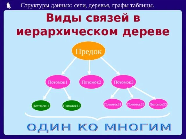 Потомки понятие. Предки и потомки. Предки и потомки разница. Предок и потомок дерево в графах. Предки и потомство.