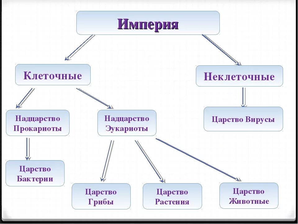 Прокариоты 2 вирусы. Империя клеточные и неклеточные схема. Надцарство эукариоты классификация. Систематика Империя неклеточные и Империя клеточные. Таблица Надцарство прокариоты и эукариоты.