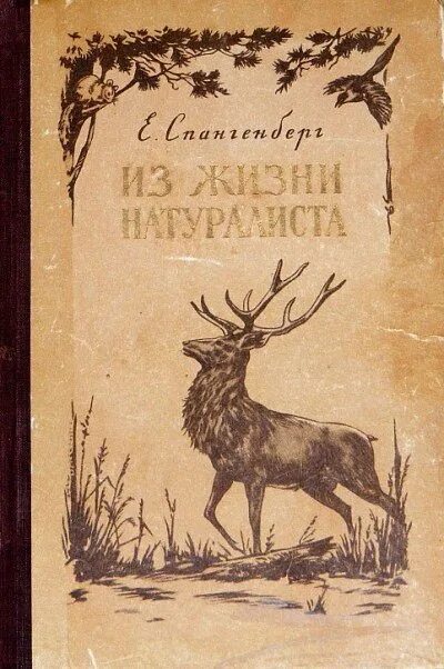 Спангенберг е. п. Записки натуралиста. Спангенберг Записки натуралиста. Из жизни натуралиста Спангенберг. Записки натуриста