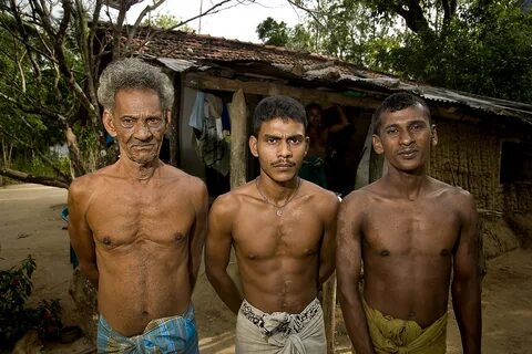 önkéntes srí lanka - margiebekker.ru.