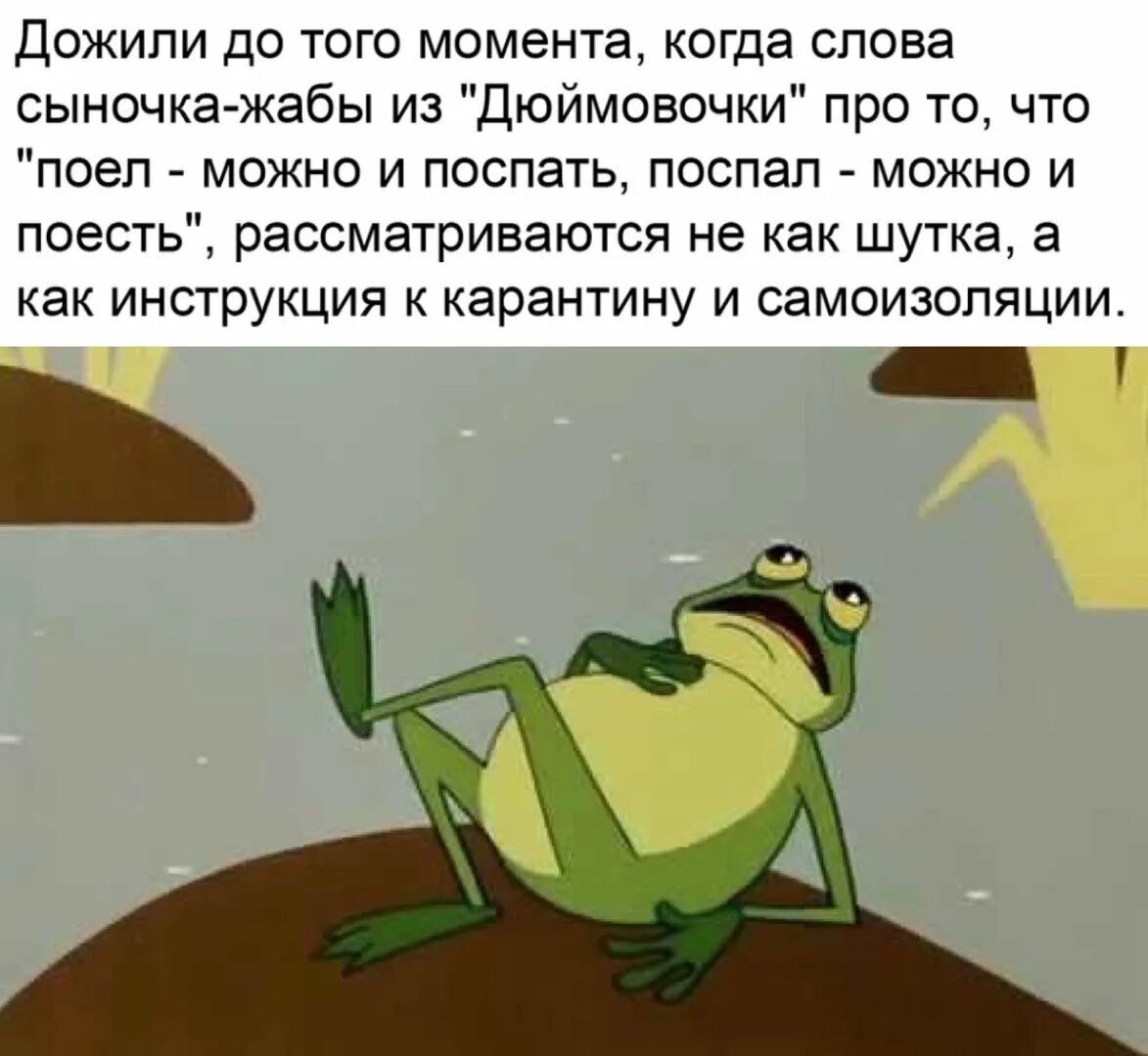 Поели можно и поспать. Поели теперь можно и поспать. Поели можно и поспать поспали можно и поесть. Пожру посплю