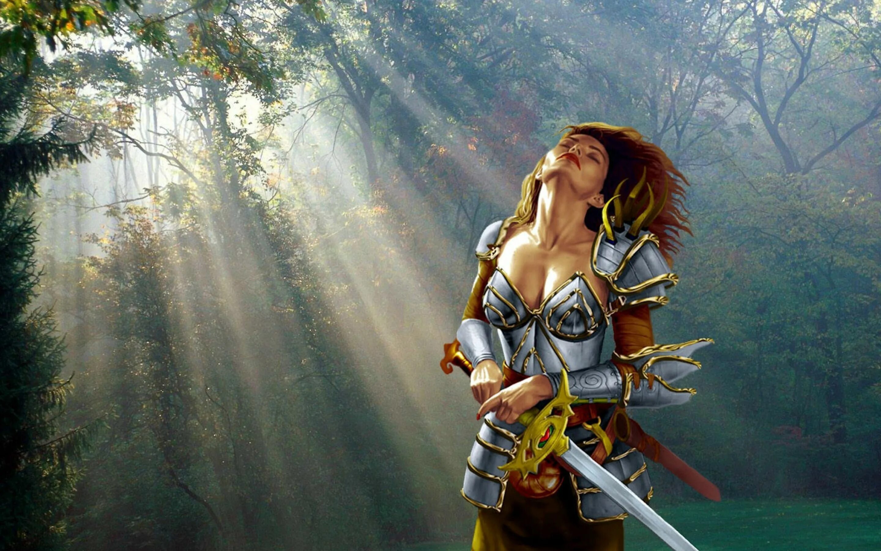 Drunk lady warrior belle. Леди Арибет де Тильмаранд. Арибет невервинтер. Леди Арибет Neverwinter Nights. Девушка рыцарь.