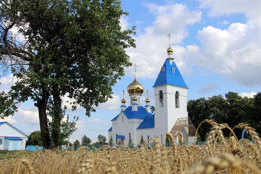 Благие рязанская область. Благие рязанская область. Дтп в александро невском районе. Благие село. Асламасский сельский дом культуры.