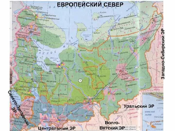 Карта европейского севера рф. Экономическая карта европейского севера России.