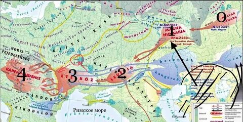 Современное название мадьяр