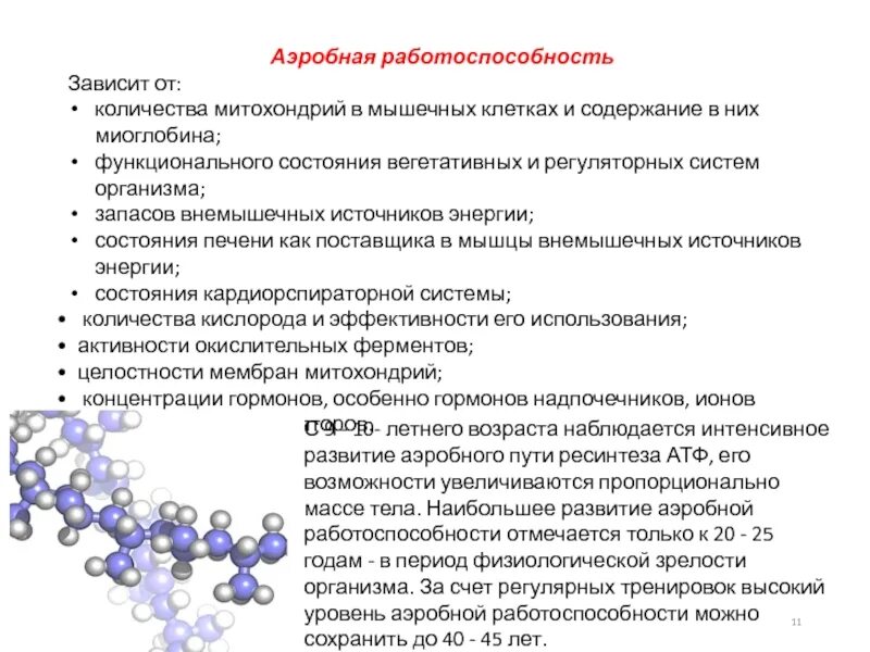 Аэробная работоспособность зависит от. Аэробная производительность зависит от. Аэробная производительность организма зависит от. Аэробная и анаэробная производительность организма.