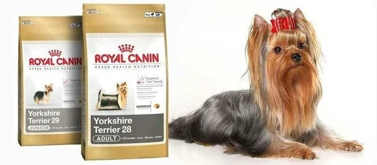 Корм для йорков Роял Канин. Royal Canin Yorkshire Terrier. Корм для собак йорков сухой Роял Канин 4. Корм для собак йорков сухой Роял Канин 3.