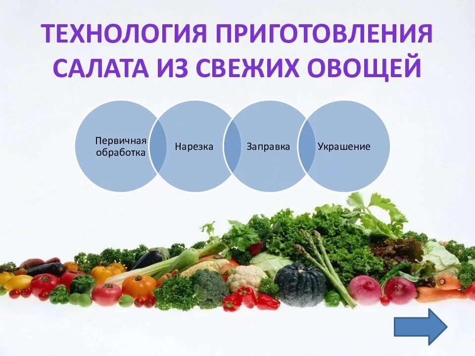 Технология приготовления салатов из овощей. Технология приготовления салата из свежих овощей. Технология приготовления салата из сырых овощей. Ассортимент салатов из свежих овощей.