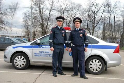 Гаи область москва