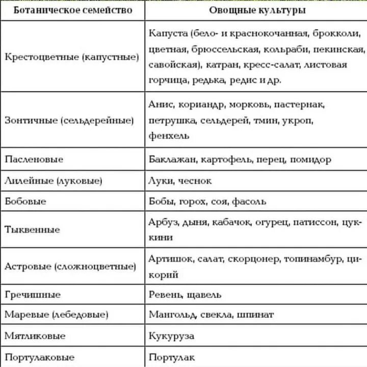 Классификация овощных культур по ботаническим семействам. Ботаническая классификация овощных растений. Классификация овощных культур по продолжительности жизни таблица. Распределение овощных культур по ботаническим семействам.