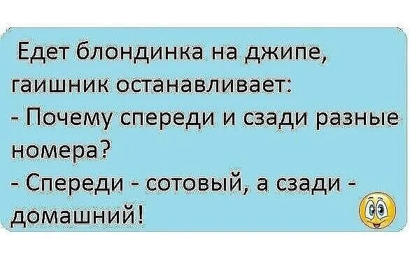 Почему приостанавливают работу. Анекдот про гаишника и джып.