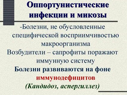 Возбудители оппортунистических инфекций