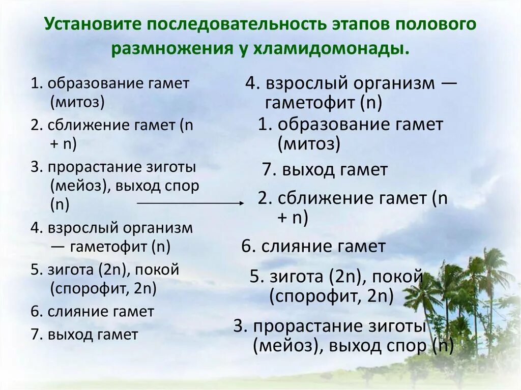 Последовательность полового размножения хламидомонады. Этапы размножения хламидомонады. Этапы полового размножения. Основные этапы полового размножения хламидомонады. Установите последовательность этапов полового