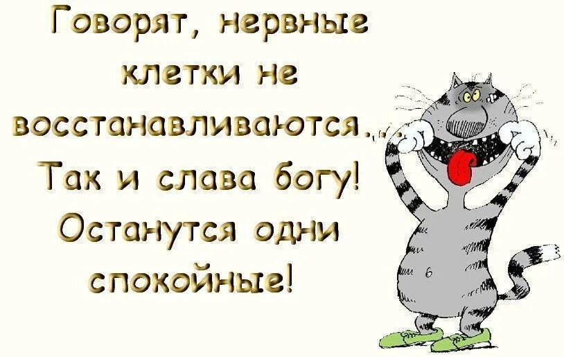 Не стоит портить. Анекдот про нервы. Шутки про нервную систему. Нервная система юмор. Высказывание про нервную систему смешное.