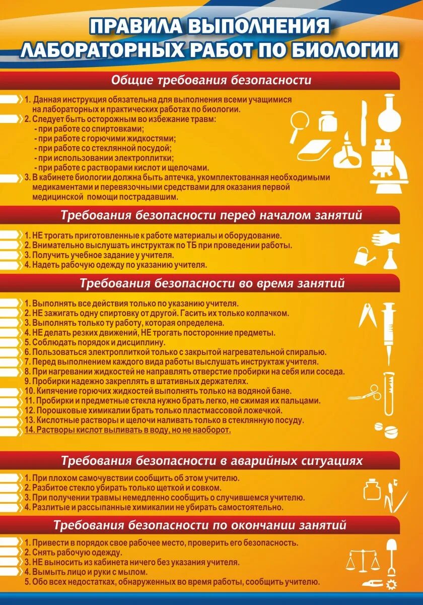 Порядок выполнения лабораторной работы. Правила проведения лабораторных работ. лабораторная работа правила выполнения. правила проведения лабораторных работ по биологии. правило проведения лабораторных работ по биологии.