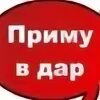 Не приму и даром