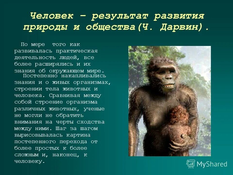 Отличительные признаки человека от животного. Как развивается человек и животное. Отличипчеловекаот животного. Как развивается человек и животное. Отличипчеловекаот животного.