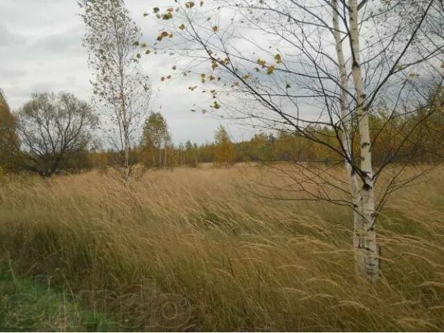 Погода в озерках клепиковского
